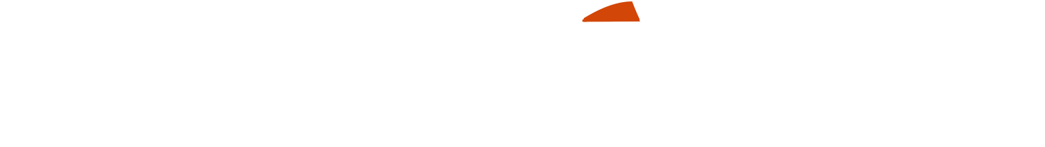 Bright Orange