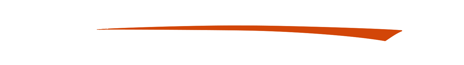 Bright Orange