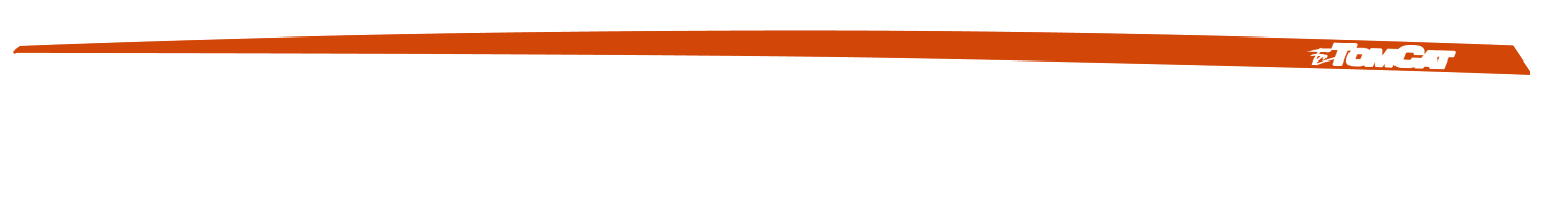Bright Orange